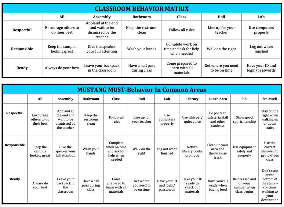 Student Behavior Matrix 